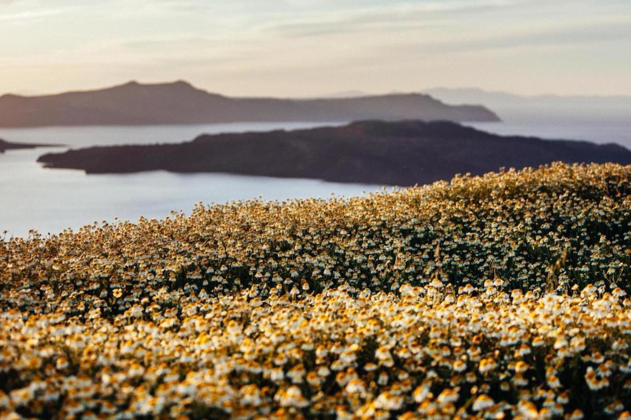 Arcana Santorini Villas, An Authentic Cycladic Experience Akrotírion المظهر الخارجي الصورة